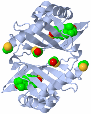 Image Biological Unit 1