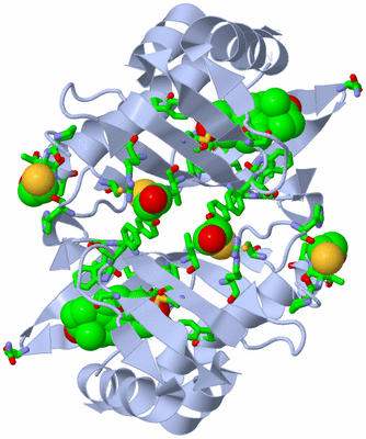 Image Biol. Unit 1 - sites