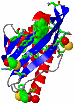 Image Asym. Unit - sites