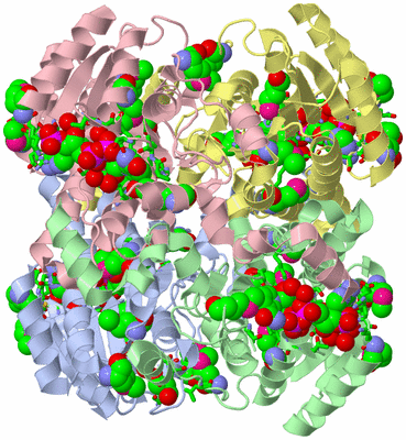 Image Asym./Biol. Unit - sites