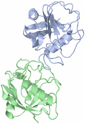 Image Asymmetric Unit