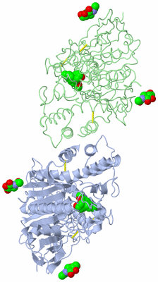 Image Asym./Biol. Unit