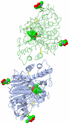 Image Asym./Biol. Unit - sites