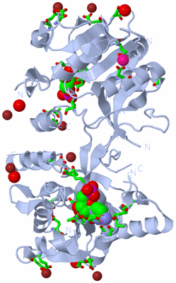 Image Biol. Unit 1 - sites