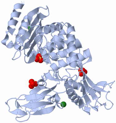 Image Biological Unit 1