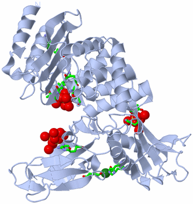 Image Biol. Unit 1 - sites