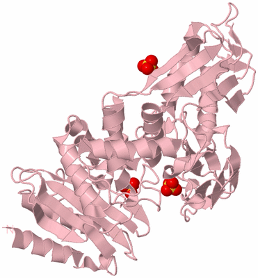 Image Biological Unit 3