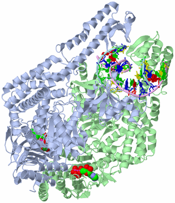 Image Asym./Biol. Unit