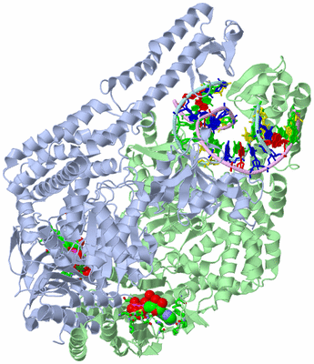 Image Asym./Biol. Unit - sites