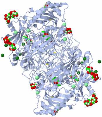 Image Biological Unit 1