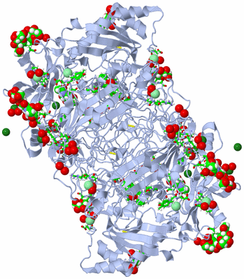 Image Biol. Unit 1 - sites