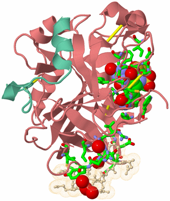 Image Asym./Biol. Unit - sites