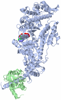 Image Asym./Biol. Unit