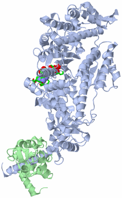 Image Asym./Biol. Unit - sites