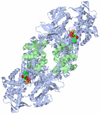 Image Biological Unit 1