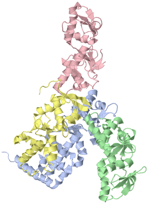 Image Asym./Biol. Unit