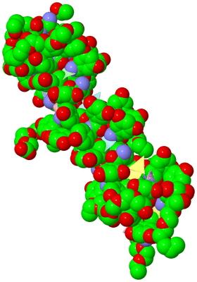 Image Asymmetric Unit