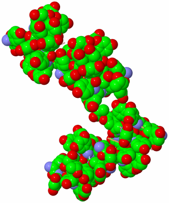 Image Asymmetric Unit