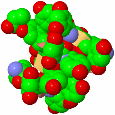 Image Biological Unit 4