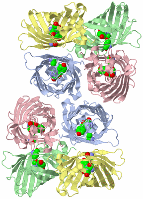 Image Biological Unit 1