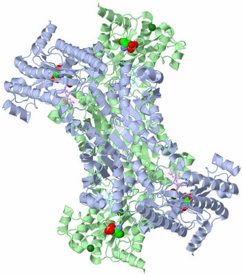 Image Biological Unit 1