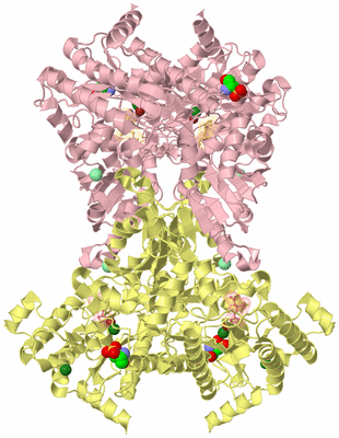 Image Biological Unit 2