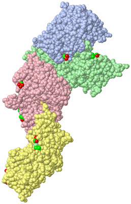 Image Asym. Unit - sites