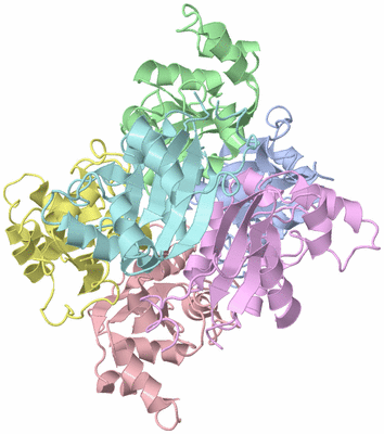 Image Asym./Biol. Unit