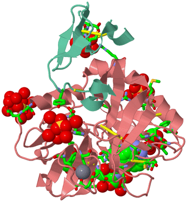 Image Asym./Biol. Unit - sites