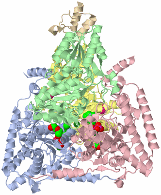 Image Biological Unit 1