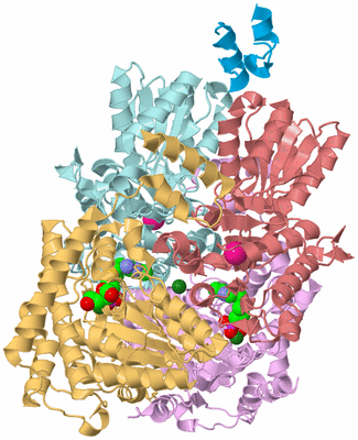 Image Biological Unit 2