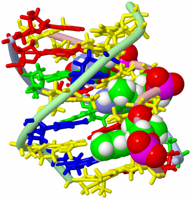 Image NMR Structure - model 1