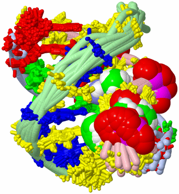 Image NMR Structure - all models