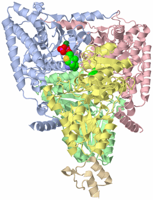 Image Biological Unit 1