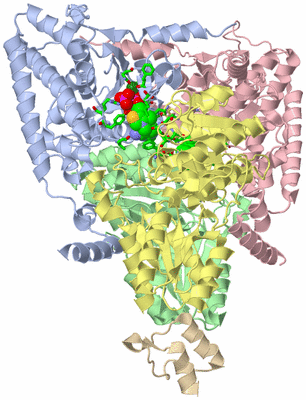 Image Biol. Unit 1 - sites