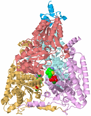 Image Biological Unit 2