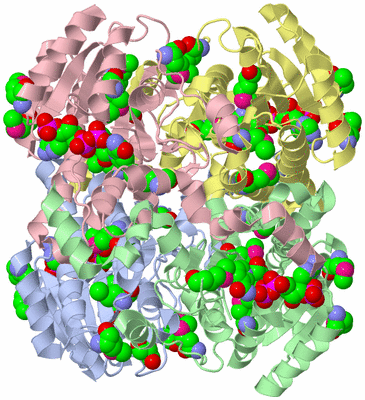 Image Asym./Biol. Unit