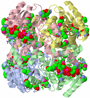 Image Asym./Biol. Unit - sites