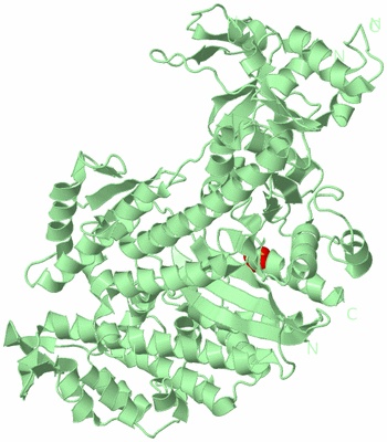Image Biological Unit 2