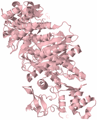 Image Biological Unit 3
