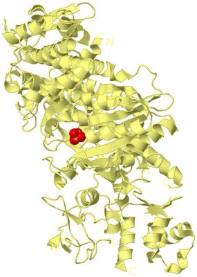 Image Biological Unit 4