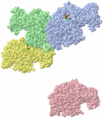Image Asym. Unit - sites