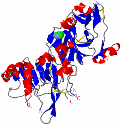 Image Asym./Biol. Unit