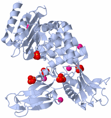 Image Biological Unit 1