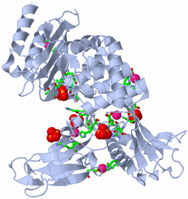 Image Biol. Unit 1 - sites