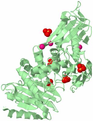 Image Biological Unit 2