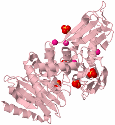 Image Biological Unit 3