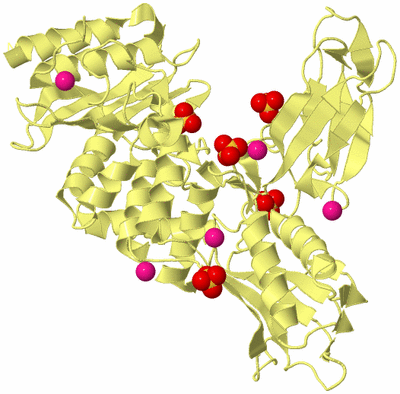 Image Biological Unit 4