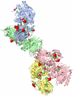 Image Asym. Unit - sites