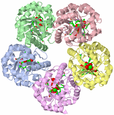 Image Biol. Unit 1 - sites